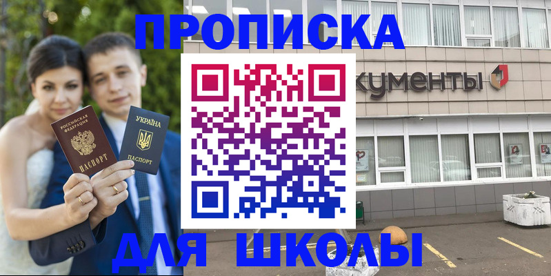 временная регистрация госуслуги в Щёлково